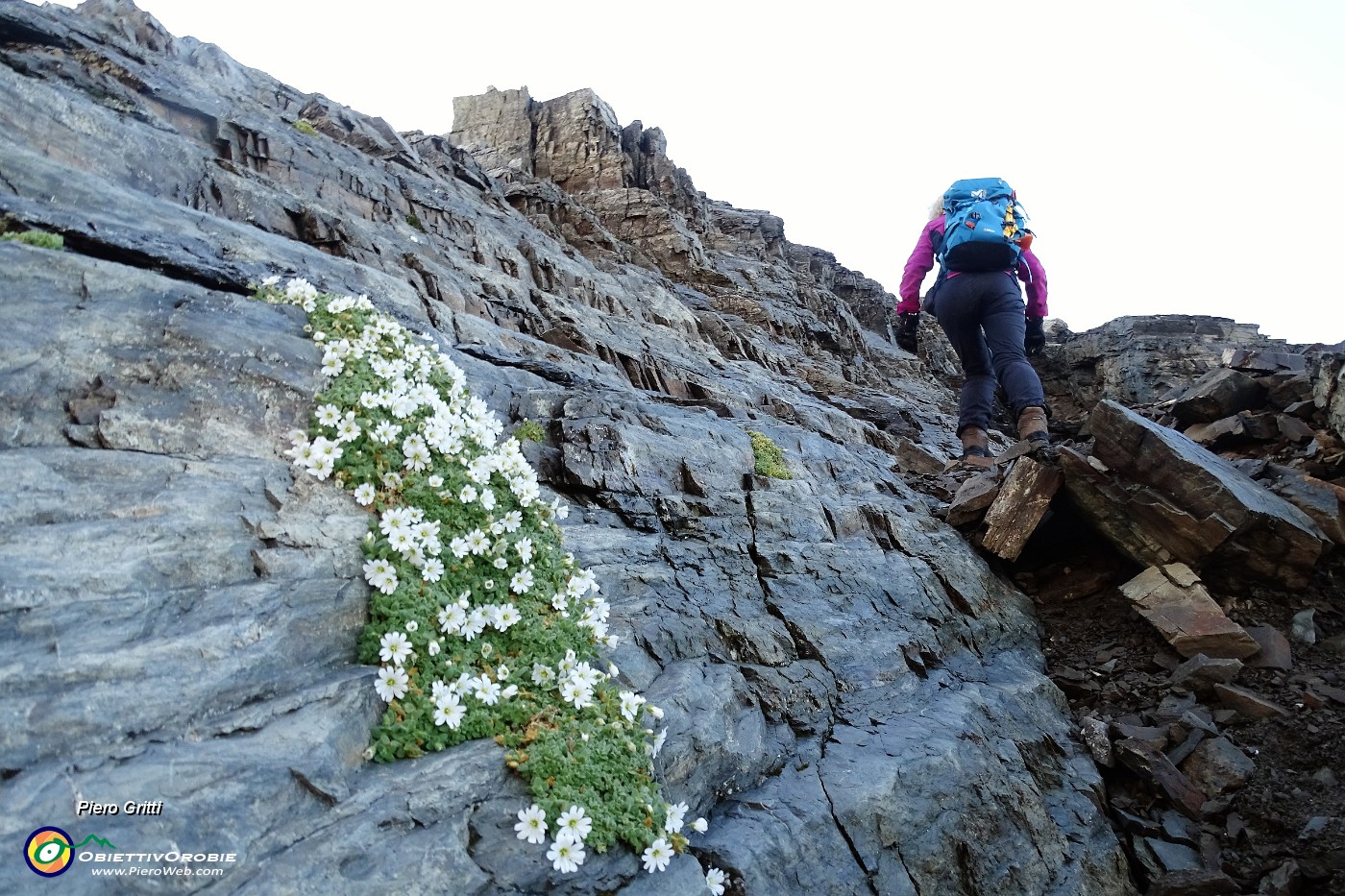 65 Menomale qualche bel fiore !.JPG